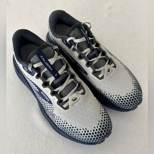 Brooks Caldera 6 Long Distance Trail Running Shoe- Oyster Blue Depths Pearl -12D